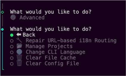 Advanced CLI menu options